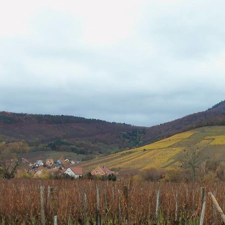 Apartment Route Du Vin Centre Alsace Orschwiller Room photo