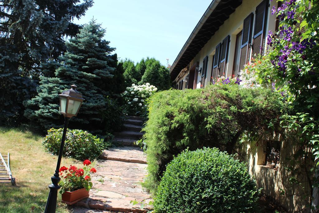 Apartment Route Du Vin Centre Alsace Orschwiller Room photo