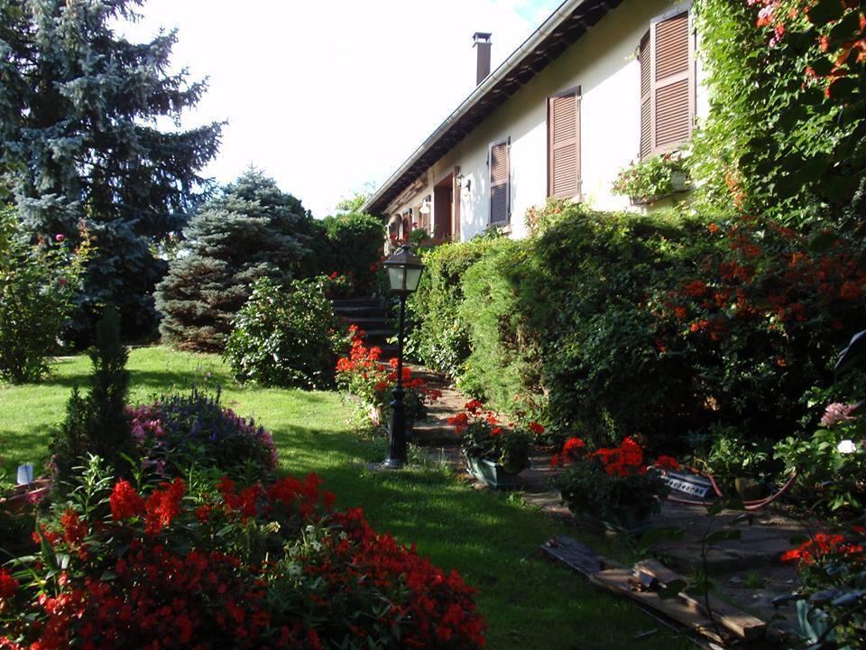 Apartment Route Du Vin Centre Alsace Orschwiller Room photo